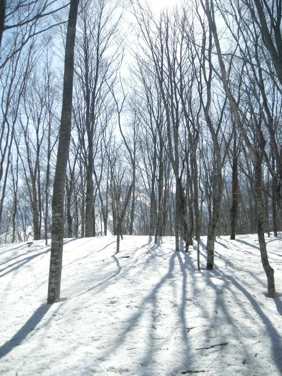 Villa Komakusa Hakuba Kültér fotó