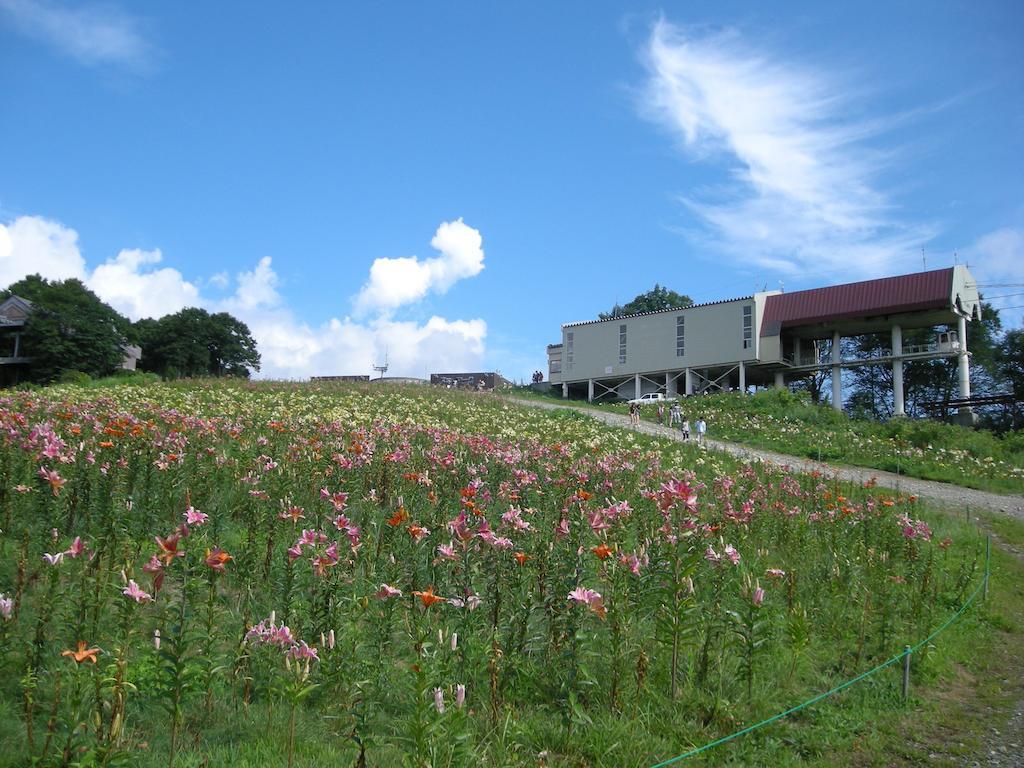 Villa Komakusa Hakuba Kültér fotó